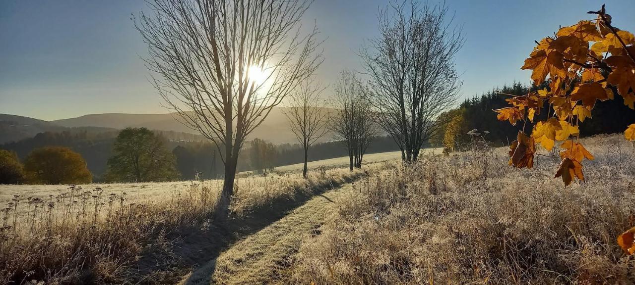 Heartspace Taszow Dış mekan fotoğraf