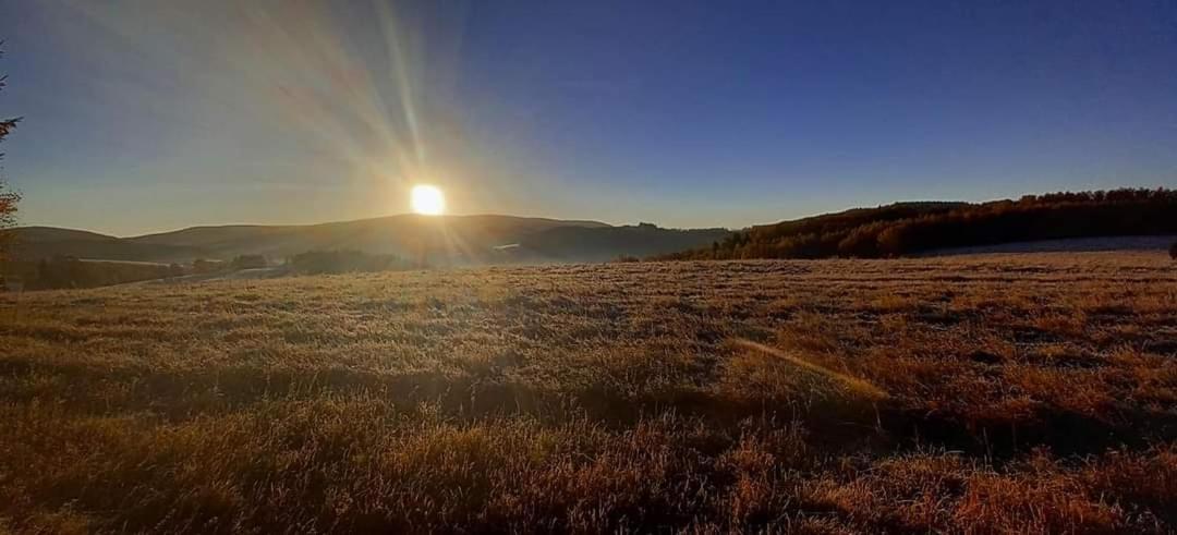 Heartspace Taszow Dış mekan fotoğraf